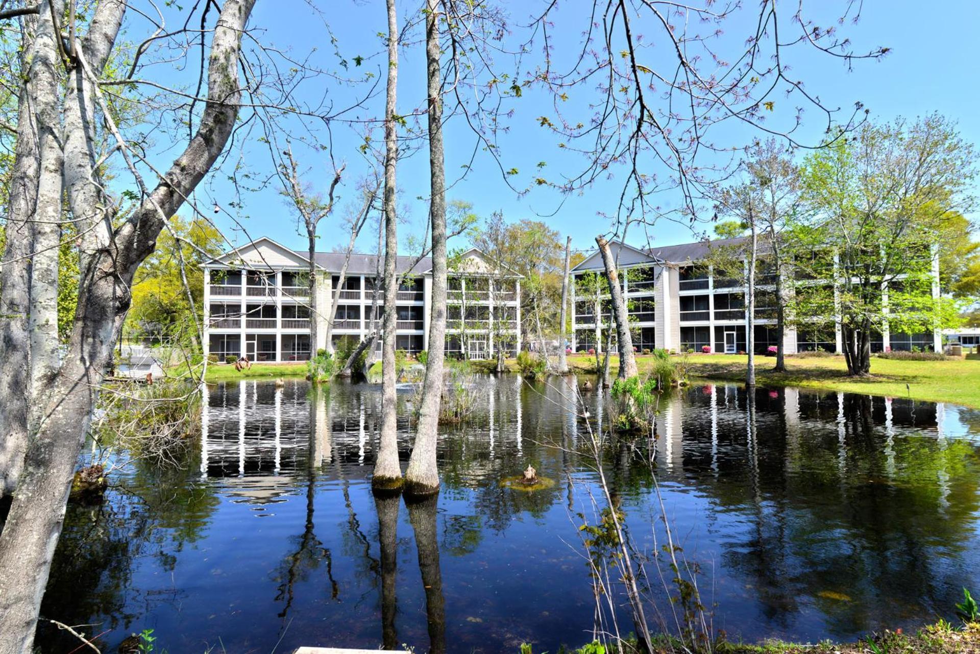 All New Luxury Beach Retreat 1 Mile To Beach W Pool マートルビーチ エクステリア 写真